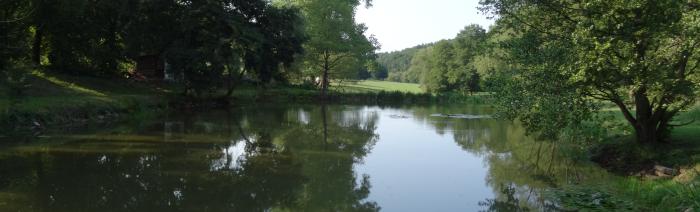 Schlossteich zum Schwimmen und Abkühlen Schlossteich zum Schwimmen und Abkühlen